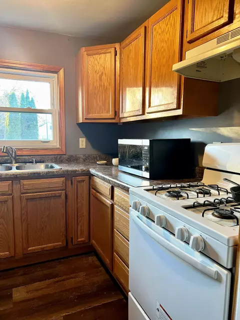 219 S 5th St, Edmore, MI 48829 photo 15