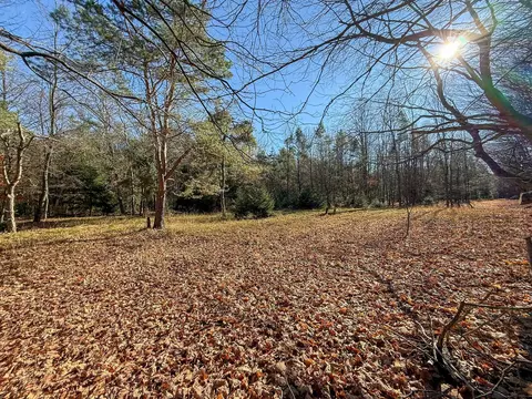 76 E 22 Rd, Manton, MI 49663 photo 49