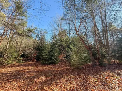 76 E 22 Rd, Manton, MI 49663 photo 56