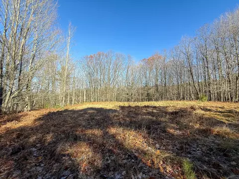 76 E 22 Rd, Manton, MI 49663 photo 12