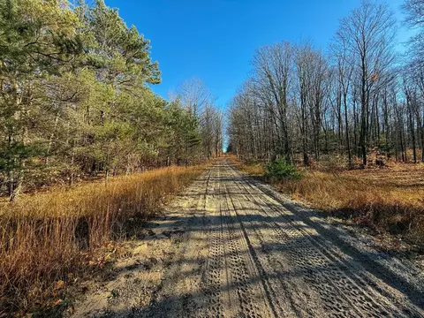 76 E 22 Rd, Manton, MI 49663 photo 20