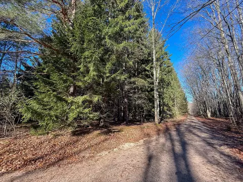 76 E 22 Rd, Manton, MI 49663 photo 22
