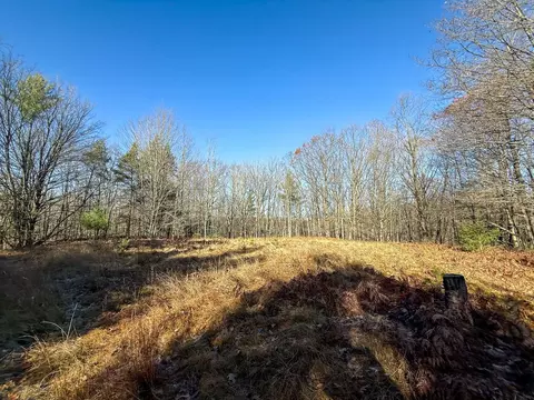 76 E 22 Rd, Manton, MI 49663 photo 38