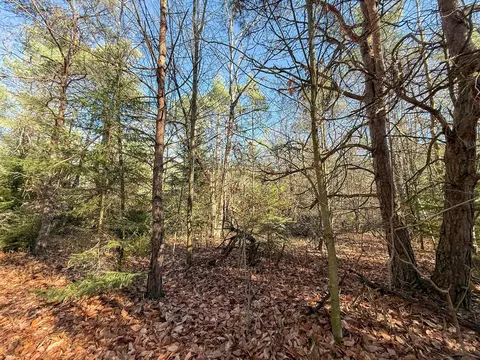 76 E 22 Rd, Manton, MI 49663 photo 51