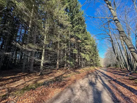 76 E 22 Rd, Manton, MI 49663 photo 23
