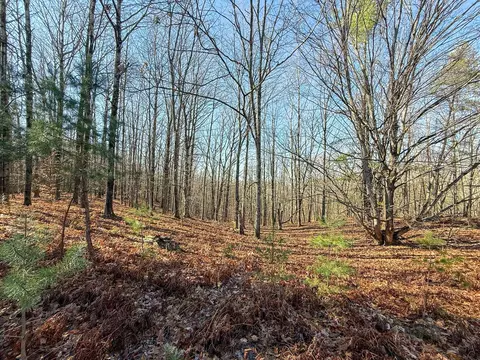 76 E 22 Rd, Manton, MI 49663 photo 39