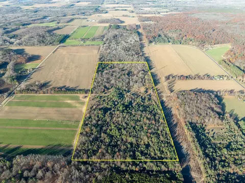 V/l E Hammett Road, Hart, MI 49420