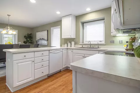 3713 Bristol Dr, Dexter, MI 48130 photo 12