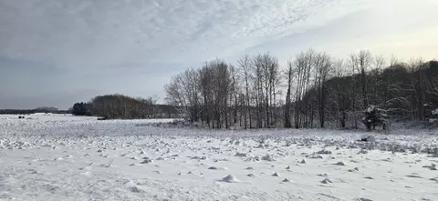 V/l 100th Avenue, Rothbury, MI 49452