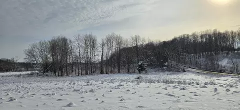V/l Arthur Road, Rothbury, MI 49452