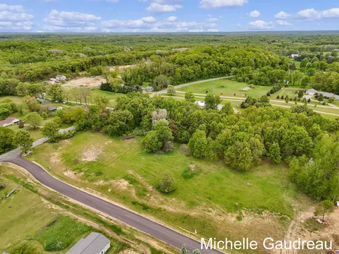 Parcel 1 Leaf Lane, Freeport, MI 49325 photo 9
