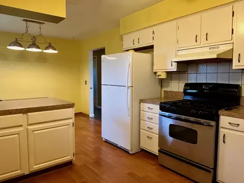 58514 Ash Rd, Three Rivers, MI 49093 photo 20