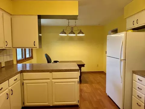 58514 Ash Rd, Three Rivers, MI 49093 photo 19