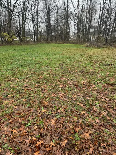 V/l Mulberry Street, Vandalia, MI 49095