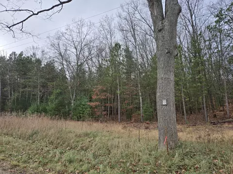 Vl N Felch Avenue, White Cloud, MI 49349