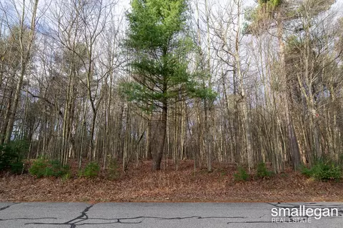 v/l cayla lane LOT 32, Whitehall, MI 49461