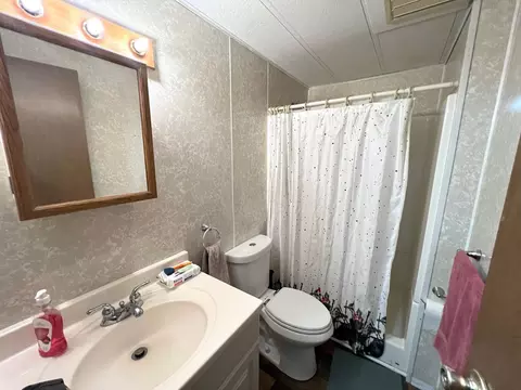 718 Rierson, Bronson, MI 49028 photo 15