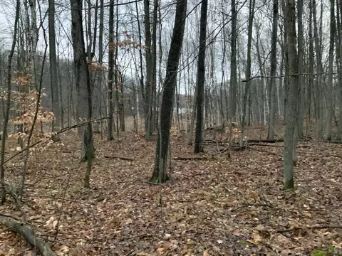 bern drive LOT 31, Reed City, MI 49677