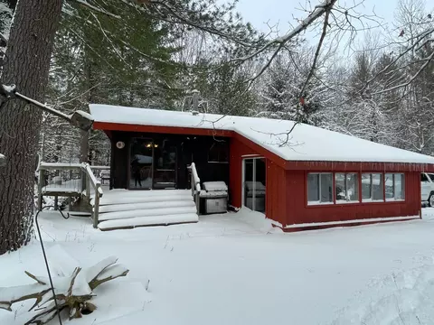 9463 E Pomeroy Springs Rd, Irons, MI 49644