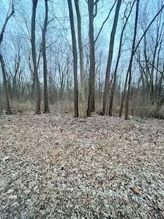 0 Linden Dr, St. Joseph, MI 49085