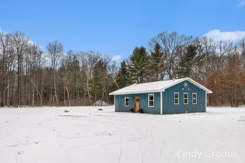 4360 E 82nd St, Newaygo, MI 49337