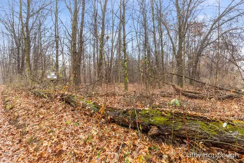 V/L W Snows Lake Road #PARCEL 1, Fenwick, MI 48834