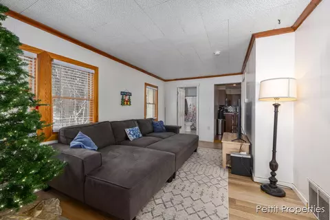 402 Richfield Ave, Springfield, MI 49037 photo 12