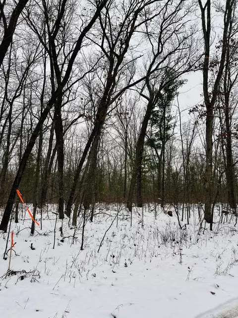 VL Wilke Road #PARCEL B, Fremont, MI 49412