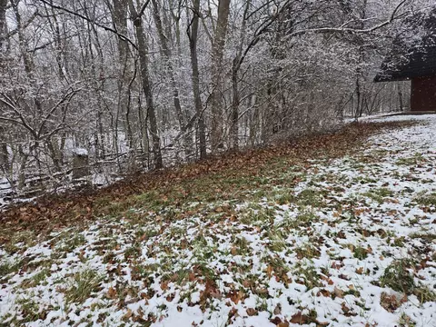 6495 S State Rd, Saline, MI 48176 photo 3