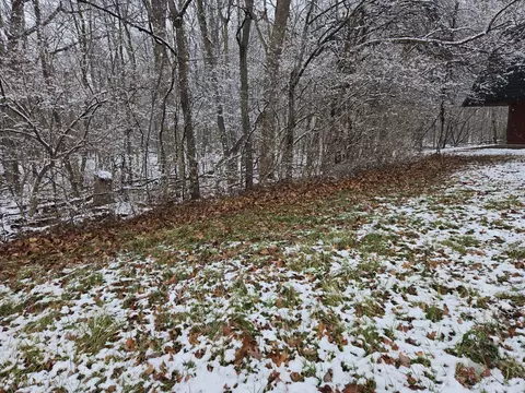 6495 S State Rd, Saline, MI 48176 photo 5