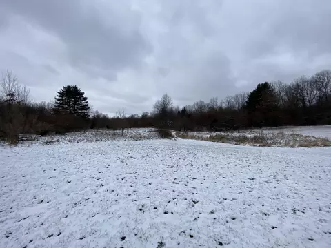 2500 Doty Rd, Osseo, MI 49266 photo 24