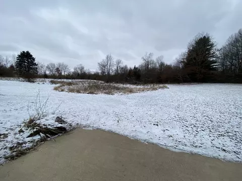 2500 Doty Rd, Osseo, MI 49266 photo 31