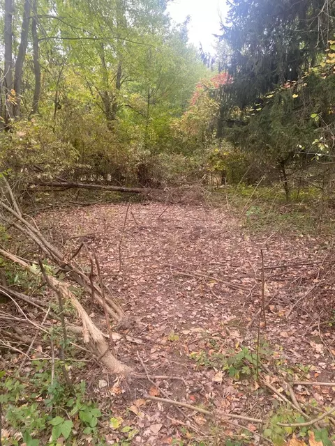 1869 NW Wilson Ave NW, Walker, MI 49534