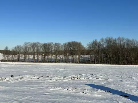 Parcel D Windward Avenue Sw, Byron Center, MI 49315