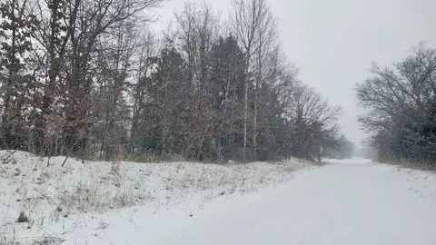 Parcel A Lester, White Cloud, MI 49349 photo 8