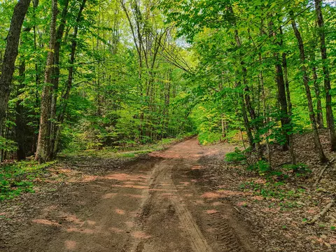 V/l Tower Road, Mcmillan, MI 49853