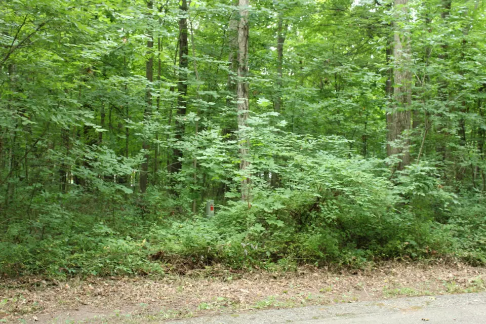  lot17 Ross Dr, Benton Harbor, MI 49022 photo 3