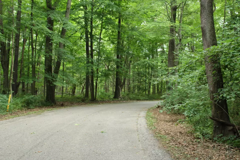  lot17 Ross Dr, Benton Harbor, MI 49022 photo 2