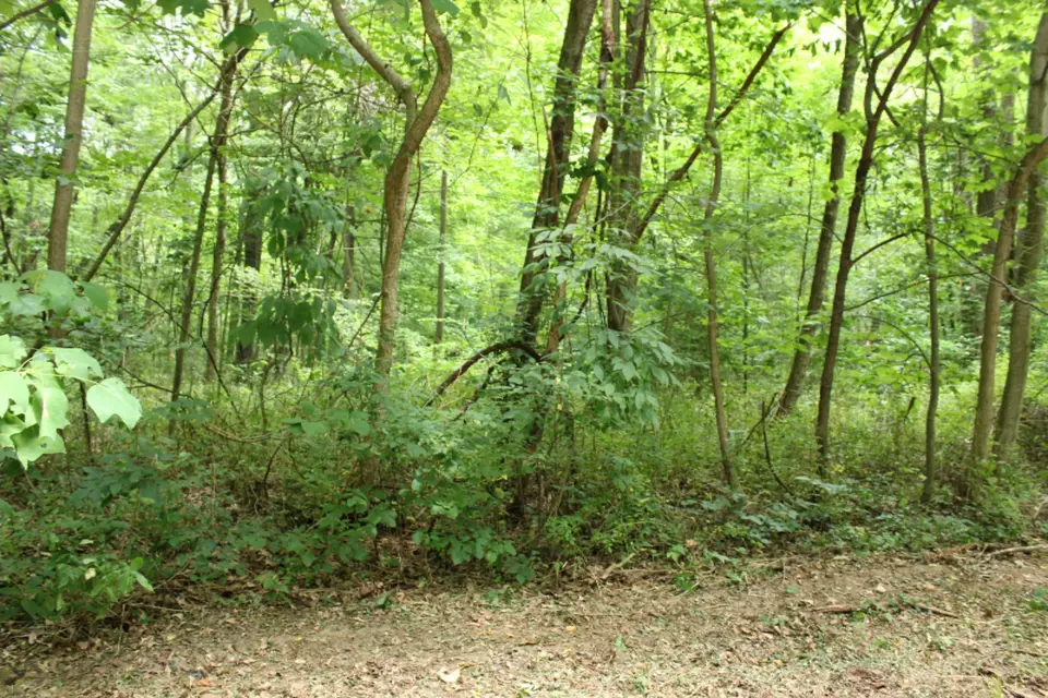  lot17 Ross Dr, Benton Harbor, MI 49022 photo 4