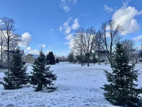 3733 Bristol Dr, Dexter, MI 48130 photo 5