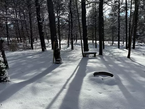 00 E Lincoln Creek Rd, Luther, MI 49656