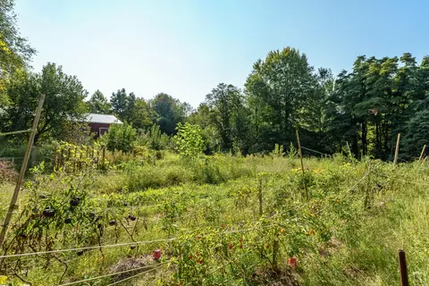 565 M-40, Gobles, MI 49055 photo 36