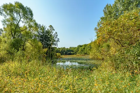565 M-40, Gobles, MI 49055 photo 52