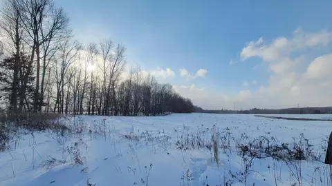 Parcel A-3 Tiffany Avenue Ne, Rockford, MI 49341
