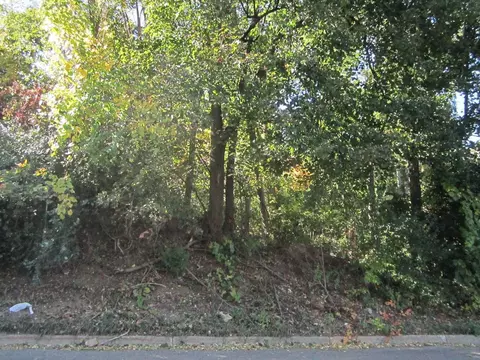 V/l Riverside Drive, Battle Creek, MI 49015