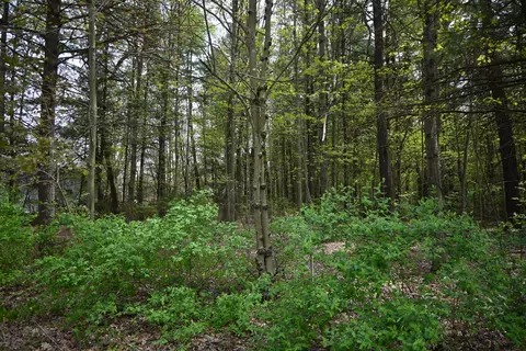 V/l 6th Street, Twin Lake, MI 49457