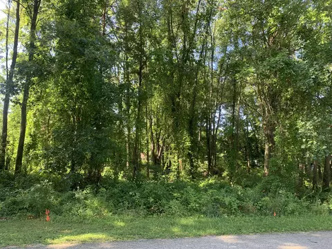 310 Arnstrom St, Gobles, MI 49055