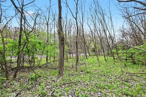 103 W Smith St, Buchanan, MI 49107 photo 6