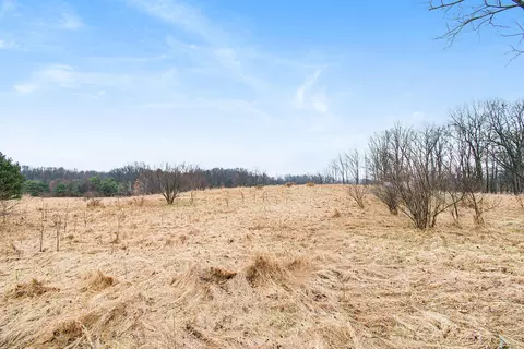 V/l Lucas Road, Bellevue, MI 49021