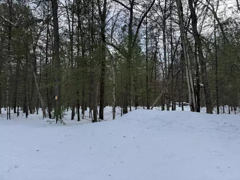 E Riverside Drive - C, Irons, MI 49644 photo 3